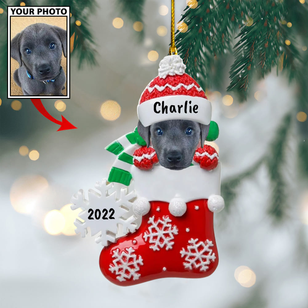 Personalized Gift For Pet Lovers Pet In Christmas Sock 2022