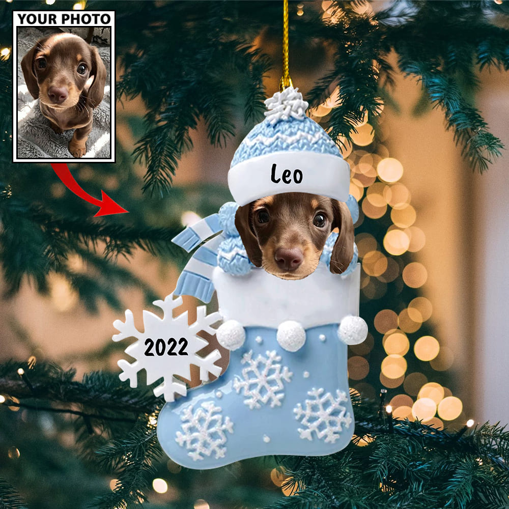 Personalized Gift For Pet Lovers Pet In Christmas Sock 2022