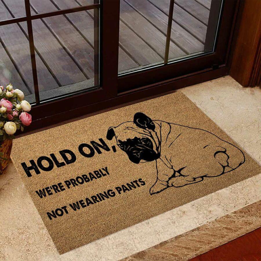 Outdoor Mat- Hold On Were Probably Not Wearing Pants Sad Bulldog Doormat Home Decor
