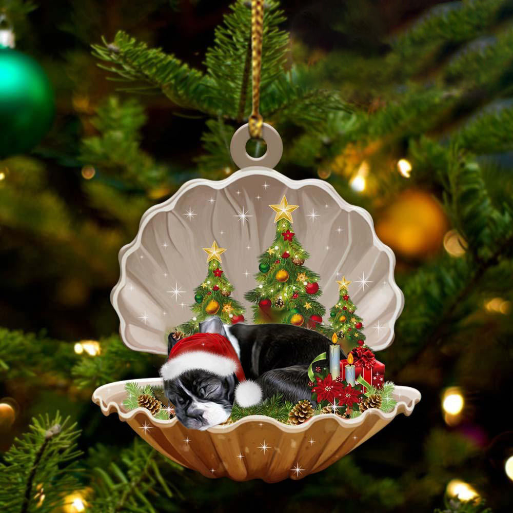 Cute Boston Terrier Sleeping in Pearl Dog Christmas Ornament Flat Acrylic