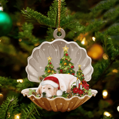 Cute Golden Retriever Sleeping in Pearl Dog Christmas Ornament Flat Acrylic