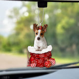 Rat Terrier In Snow Pocket Christmas Car Hanging Ornament Godmerch Ornaments