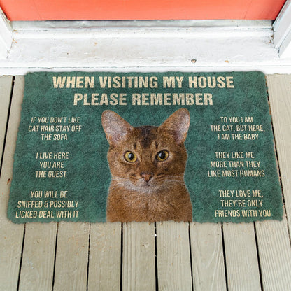 3D Please Remember Abyssinian Cats House Rules Doormat