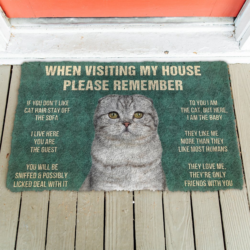 3D Please Remember Scottish Fold Cats House Rules Doormat