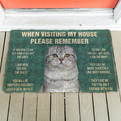 3D Please Remember Scottish Fold Cats House Rules Doormat