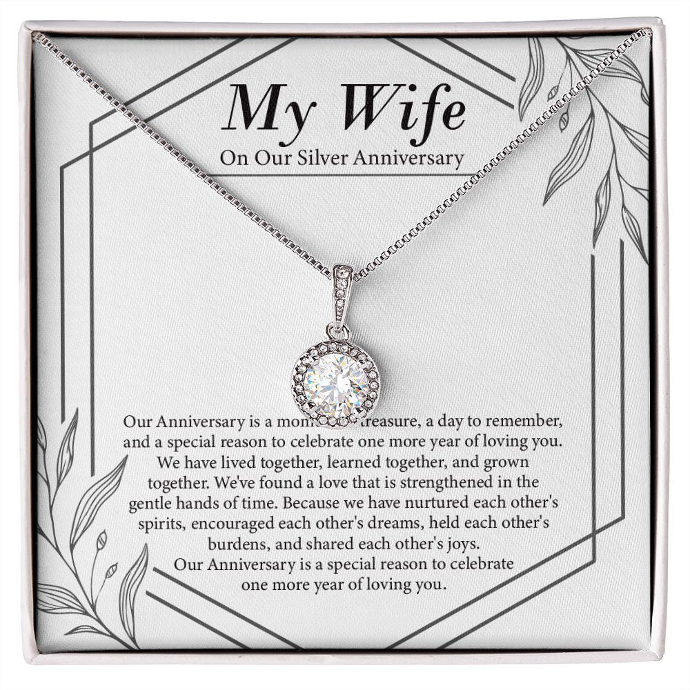 "Moment Of Treasure" Wife Silver Wedding Anniversary Necklace Gift From Husband Eternal Hope Pendant Jewelry Box