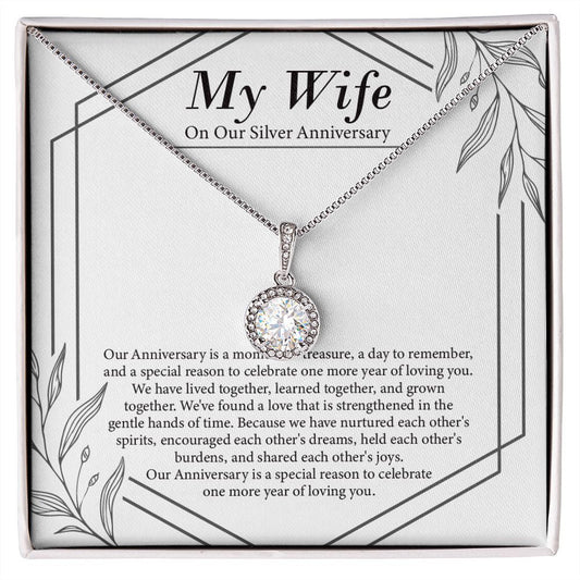 "Moment Of Treasure" Wife Silver Wedding Anniversary Necklace Gift From Husband Eternal Hope Pendant Jewelry Box
