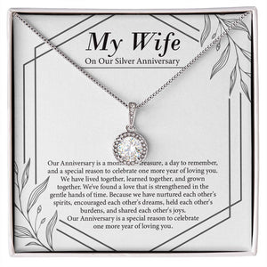 "Moment Of Treasure" Wife Silver Wedding Anniversary Necklace Gift From Husband Eternal Hope Pendant Jewelry Box