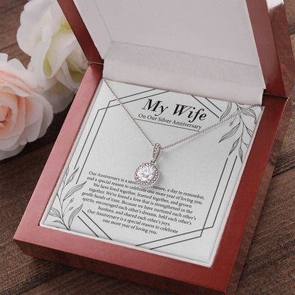 "Moment Of Treasure" Wife Silver Wedding Anniversary Necklace Gift From Husband Eternal Hope Pendant Jewelry Box