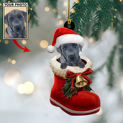 Personalized Gift For Pet Lovers Pet In Santa Shoes