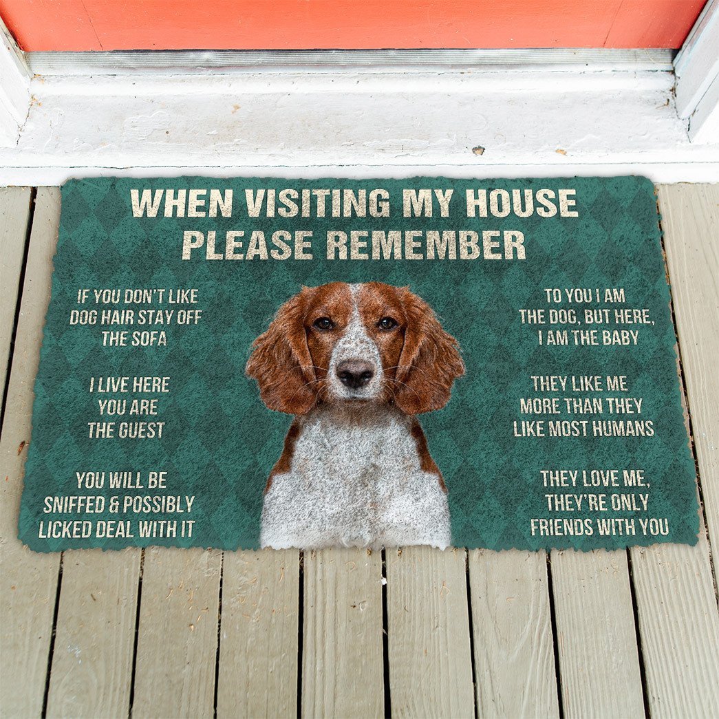 3D Please Remember Welsh Springer Spaniel Dogs House Rules Doormat