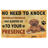 3D No Need To Knock Rhodesian Ridgeback Dog Custom Name Doormat