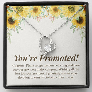 "Genuinely Admiring Your Devotion" Job Promotion Necklace Gift From Colleagues Co-workers Forever Love Pendant Jewelry Box