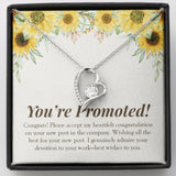 "Genuinely Admiring Your Devotion" Job Promotion Necklace Gift From Colleagues Co-workers Forever Love Pendant Jewelry Box