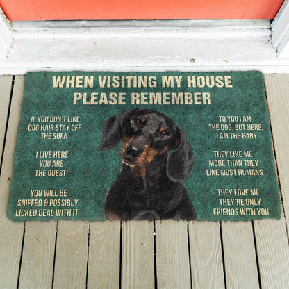 3D Please Remember Dachshunds Dog's House Rules Doormat