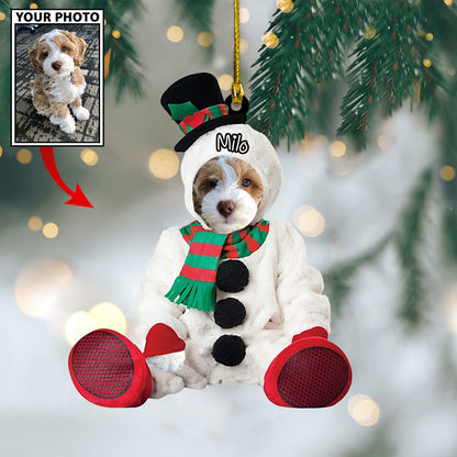 Personalized Gift For Pet Lovers Pet In Santa Claus Costume