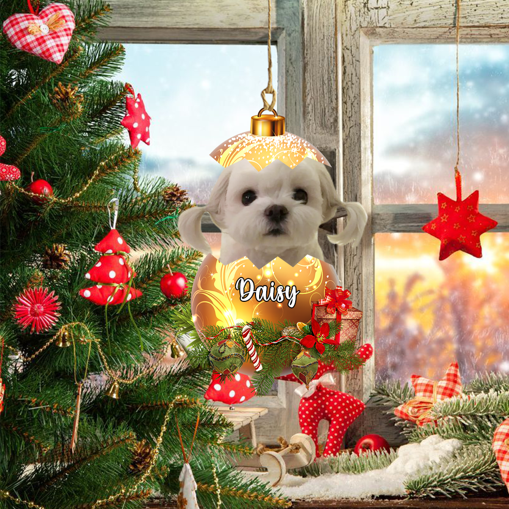 Personalized Gift For Pet Lovers Custom Image Pet In Egg Ornament