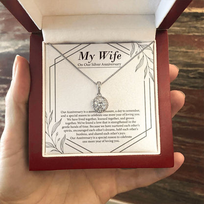 "Moment Of Treasure" Wife Silver Wedding Anniversary Necklace Gift From Husband Eternal Hope Pendant Jewelry Box