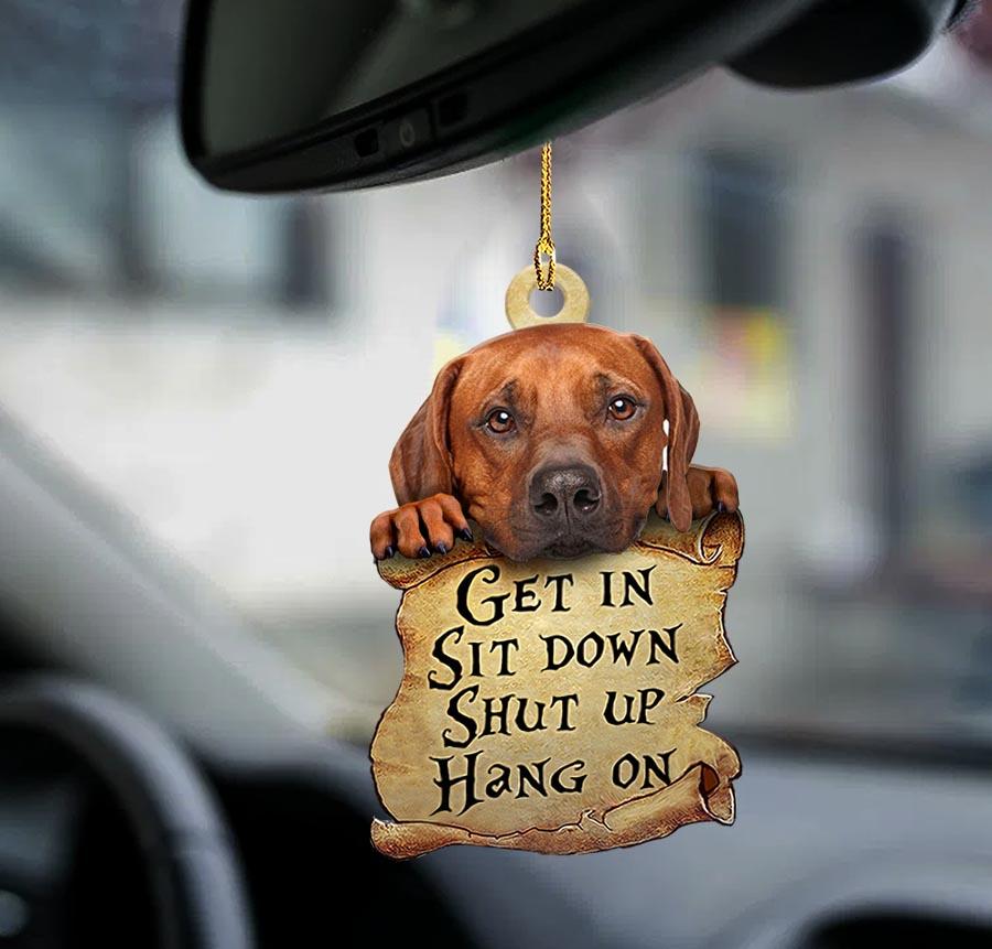 Godmerch- Ornaments- Rhodesian Ridgeback get in dog moms two sided ornament, Dog Ornaments, Car Ornaments
