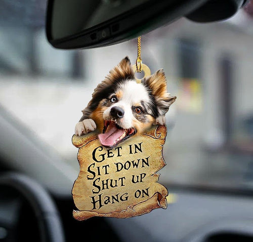 Godmerch- Ornaments- Australian shepherd get in two sided ornament, Dog Ornaments, Car Ornaments