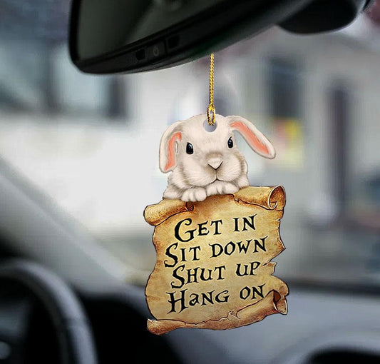 Godmerch- Ornaments- Bunny get in bunny lover two sided ornament, Dog Ornaments, Car Ornaments