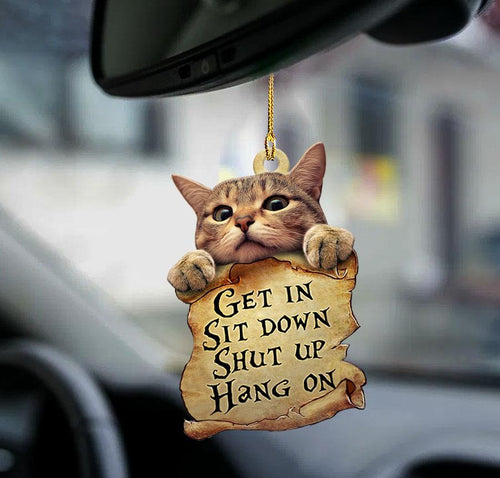 Godmerch- Ornaments- Cat get in cat lover two sided ornament, Dog Ornaments, Car Ornaments