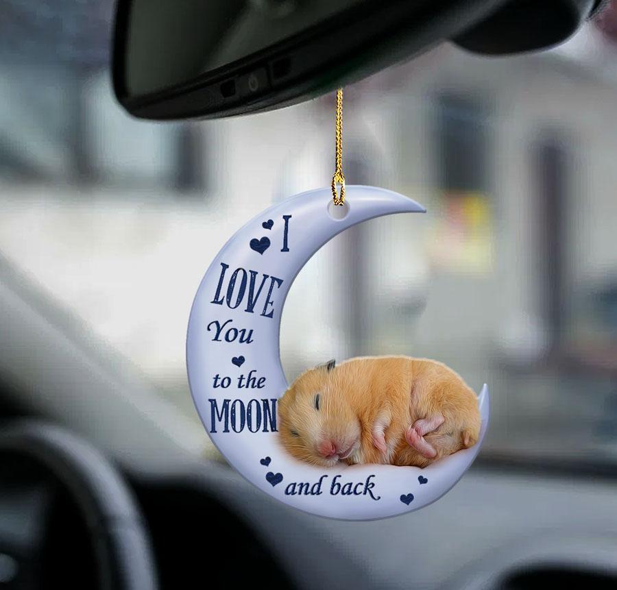 Hamster Moon Back Hamster Lover Two Sided Ornament
