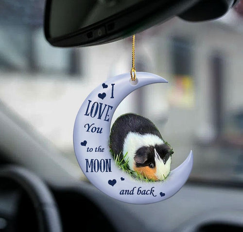 Guinea Pig Moon Back Gift For Guinea Pig Lover Two Sided Ornament Cus