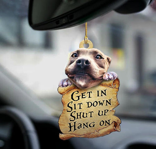 Pitbull Get In Pitbull Lover Two Sided Ornament
