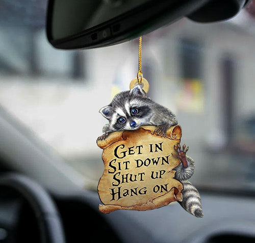 Godmerch- Ornaments- Raccoon get in raccoon lover two sided ornament, Dog Ornaments, Car Ornaments