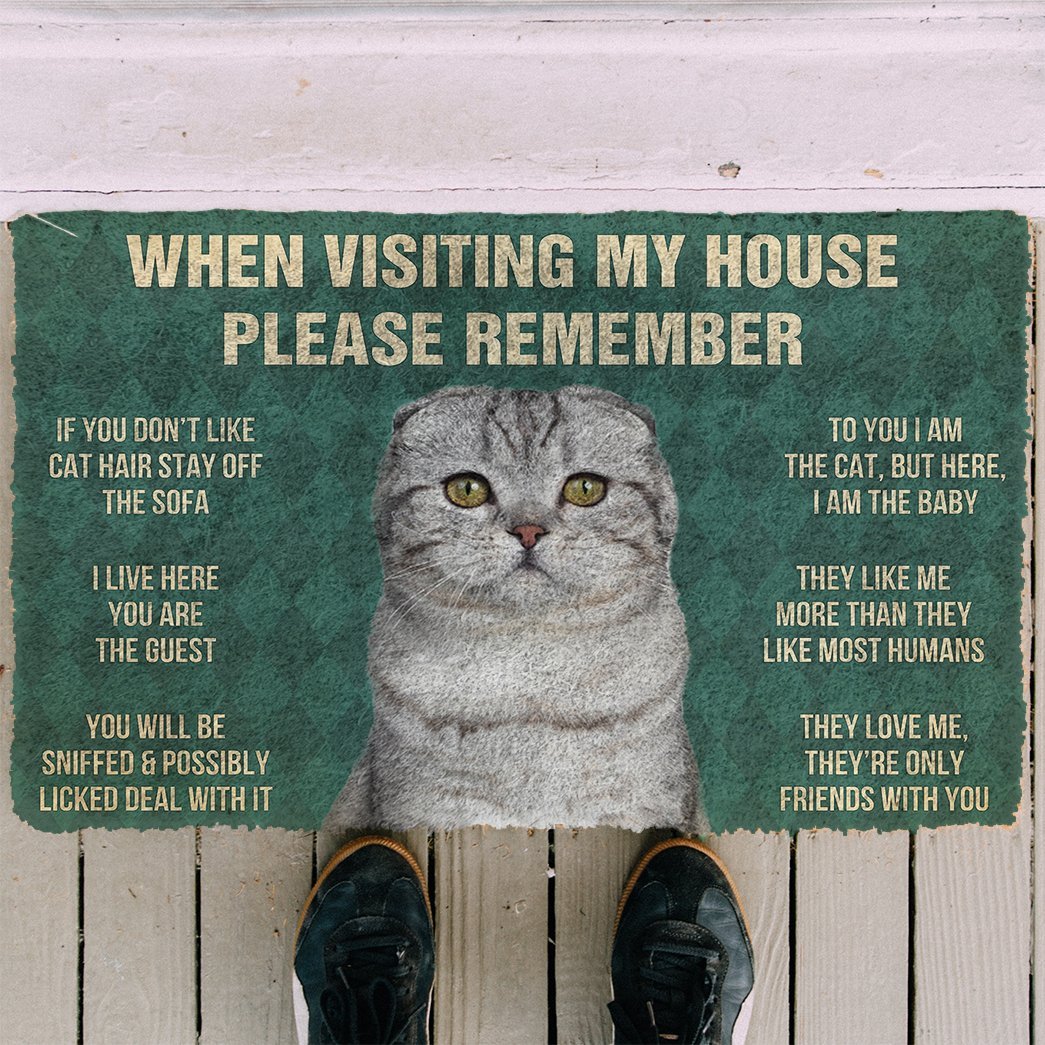 3D Please Remember Scottish Fold Cats House Rules Doormat