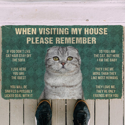 3D Please Remember Scottish Fold Cats House Rules Doormat