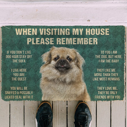 3D Please Remember Tibetan Spaniel Dogs House Rules Doormat