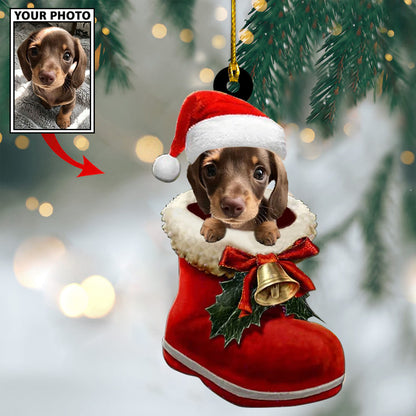 Personalized Gift For Pet Lovers Pet In Santa Shoes