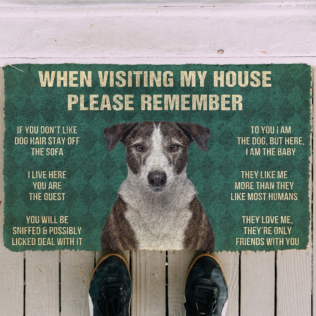 3D Please Remember Ibizan Hound Dogs House Rules Doormat