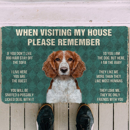 3D Please Remember Welsh Springer Spaniel Dogs House Rules Doormat