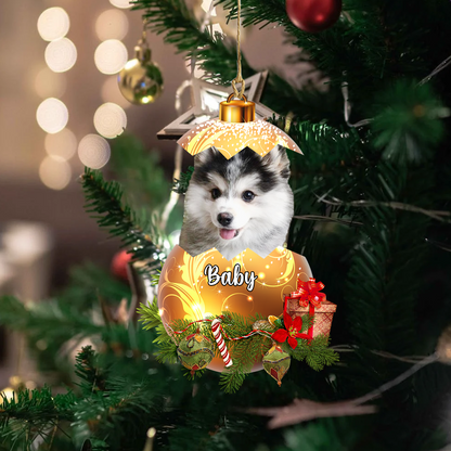 Personalized Gift For Pet Lovers Custom Image Pet In Egg Ornament