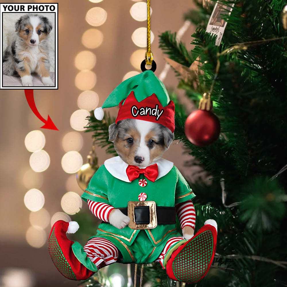 Personalized Gift For Pet Lovers Pet In Santa Claus Costume