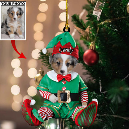 Personalized Gift For Pet Lovers Pet In Santa Claus Costume