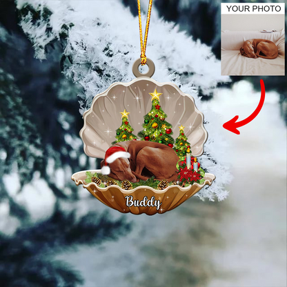 Personalized Gift For Pet Lovers Pet In Seashell Ornament