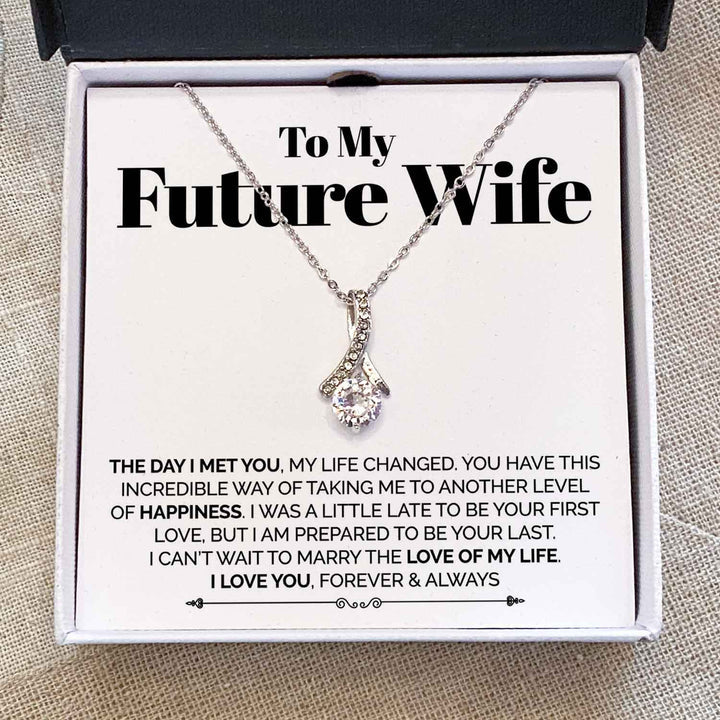 To My Future Wife Necklace Gift - The Day I Met You, My Life Changed - I can't wait to marry the love of my life Alluring Beauty Necklace 029C - TGV
