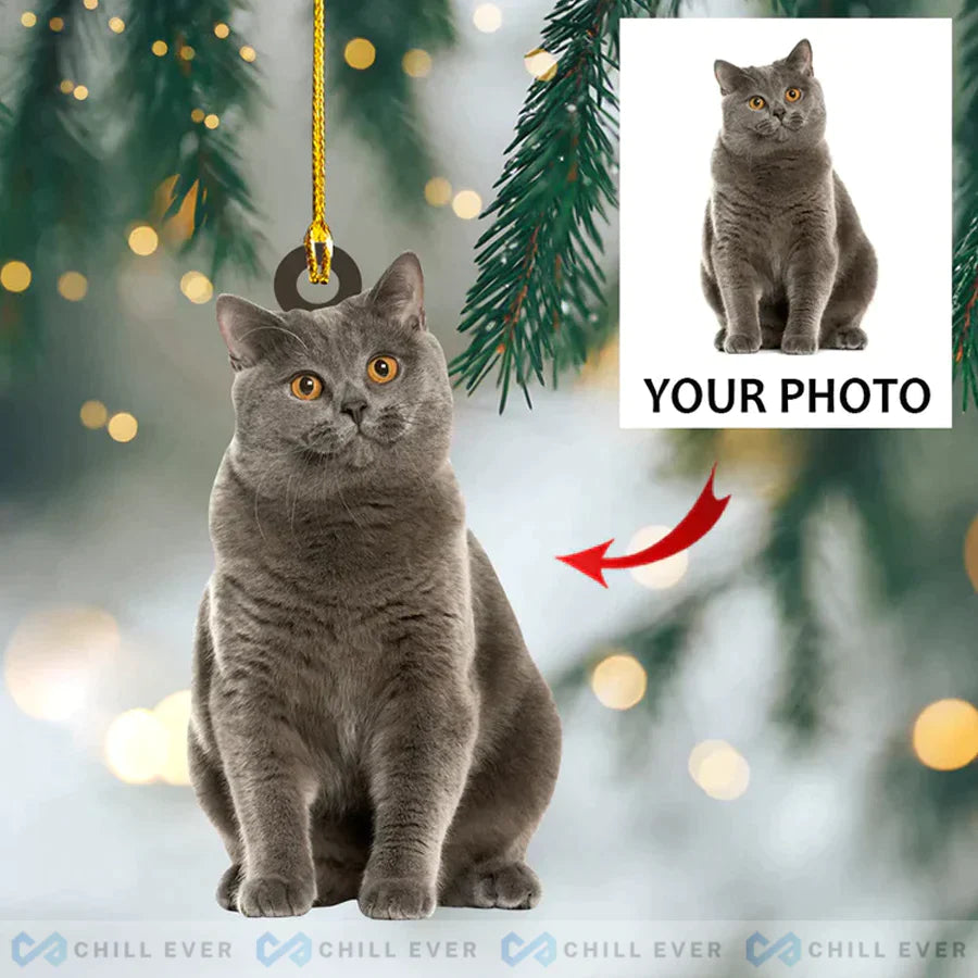 Custom Photo Friend Christmas Ornaments - 2022 Custom Christmas Ornaments HB