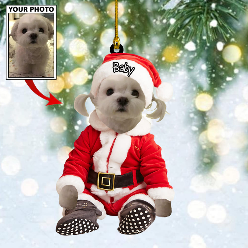 Personalized Gift For Pet Lovers Pet In Santa Claus Costume