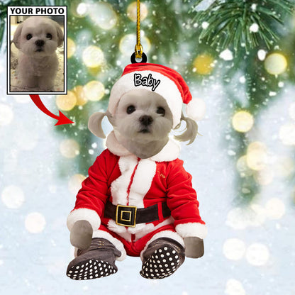 Personalized Gift For Pet Lovers Pet In Santa Claus Costume