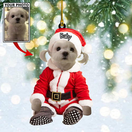 Personalized Gift For Pet Lovers Pet In Santa Claus Costume
