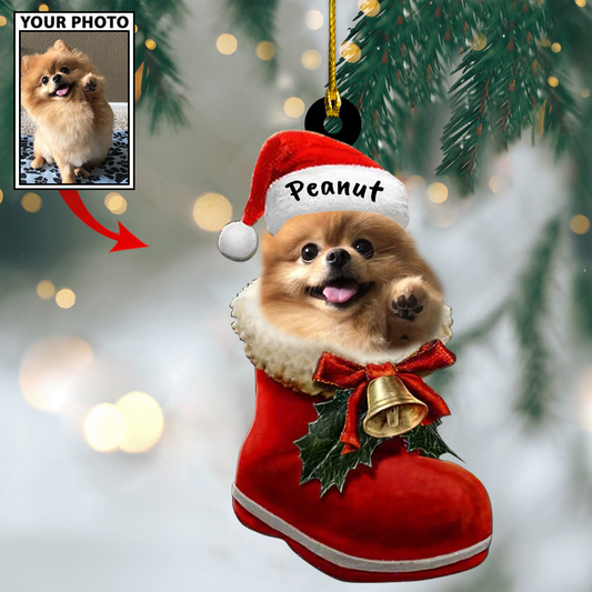 Personalized Gift For Pet Lovers Pet In Santa Shoes