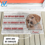 3D David Rose Im trying very hard not to connect with people right now Custom Name Doormat | Welcome Mat | House Warming Gift