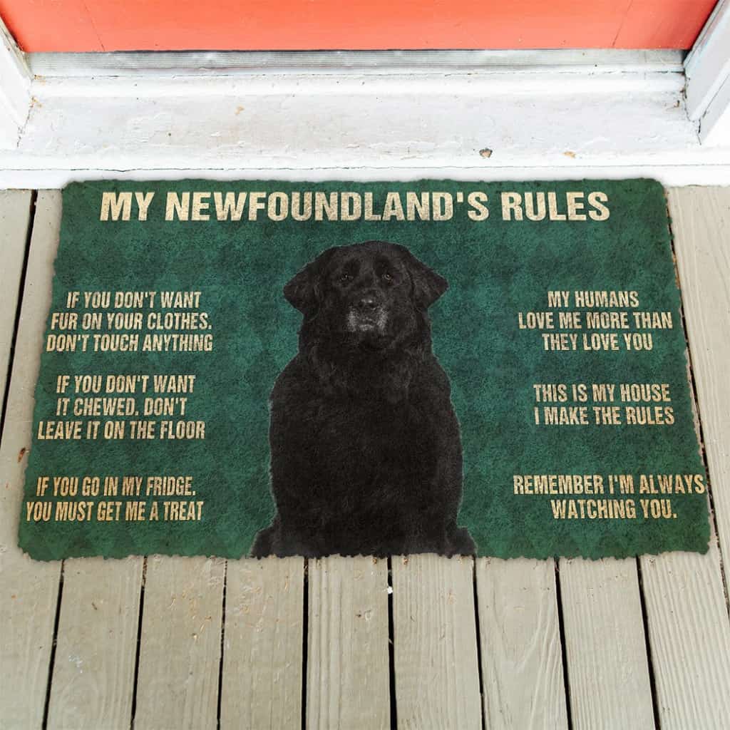3D Newfoundland's Rules Doormat