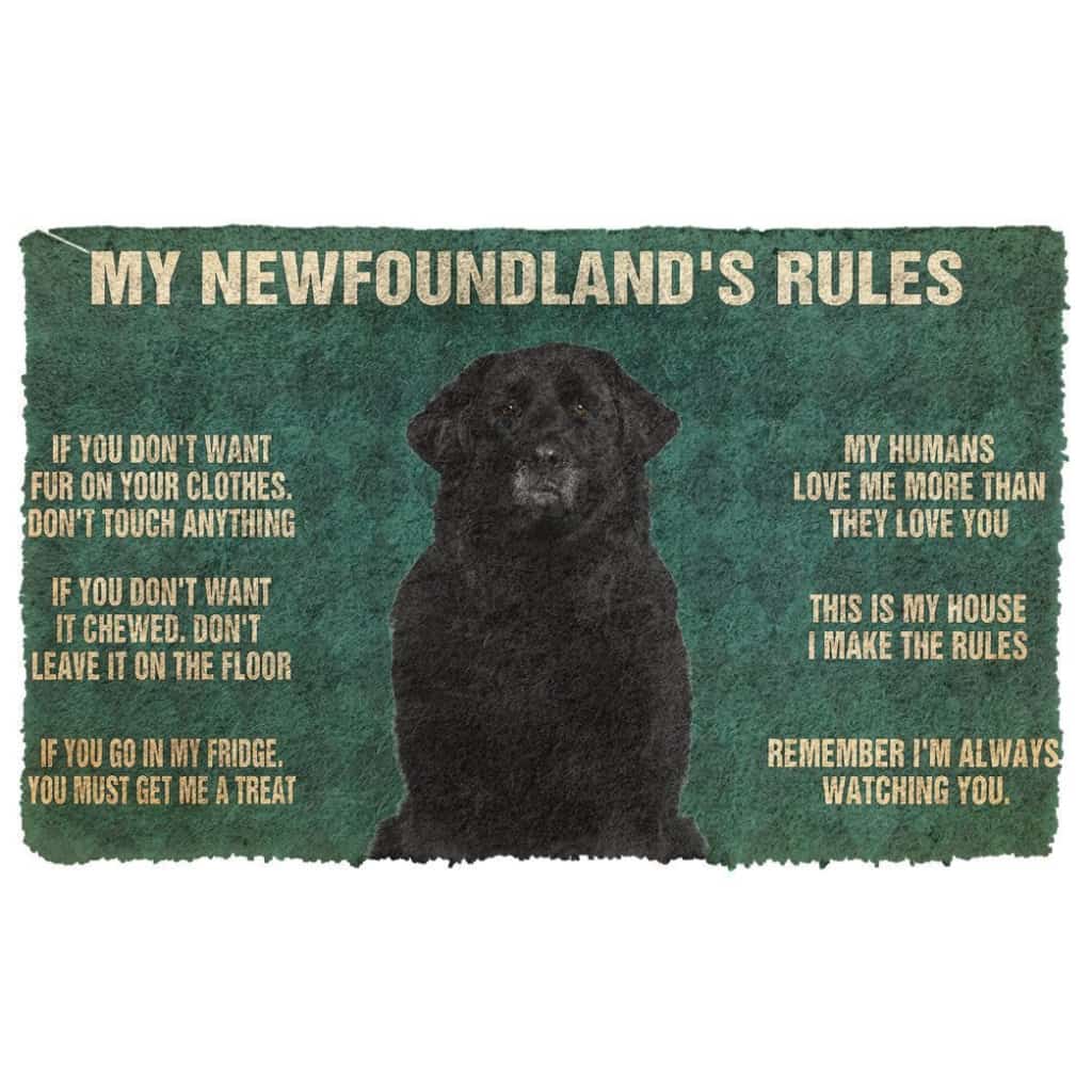 3D Newfoundland's Rules Doormat
