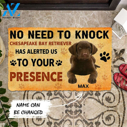 3D No Need To Knock Chesapeake Bay Retriever Dog Custom Name Doormat | Welcome Mat | House Warming Gift